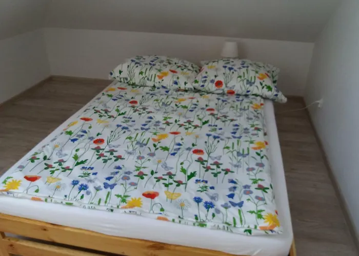 W Dolinie Teczy * Debina (Ustka)